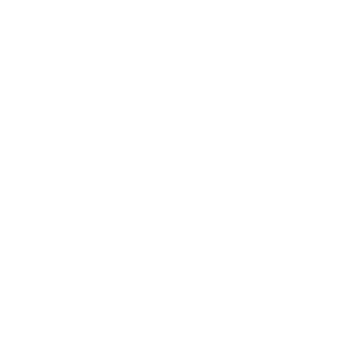 Seagate